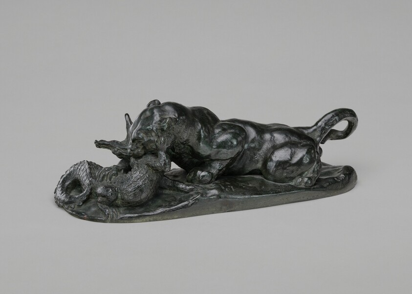 Jaguar Devouring a Crocodile