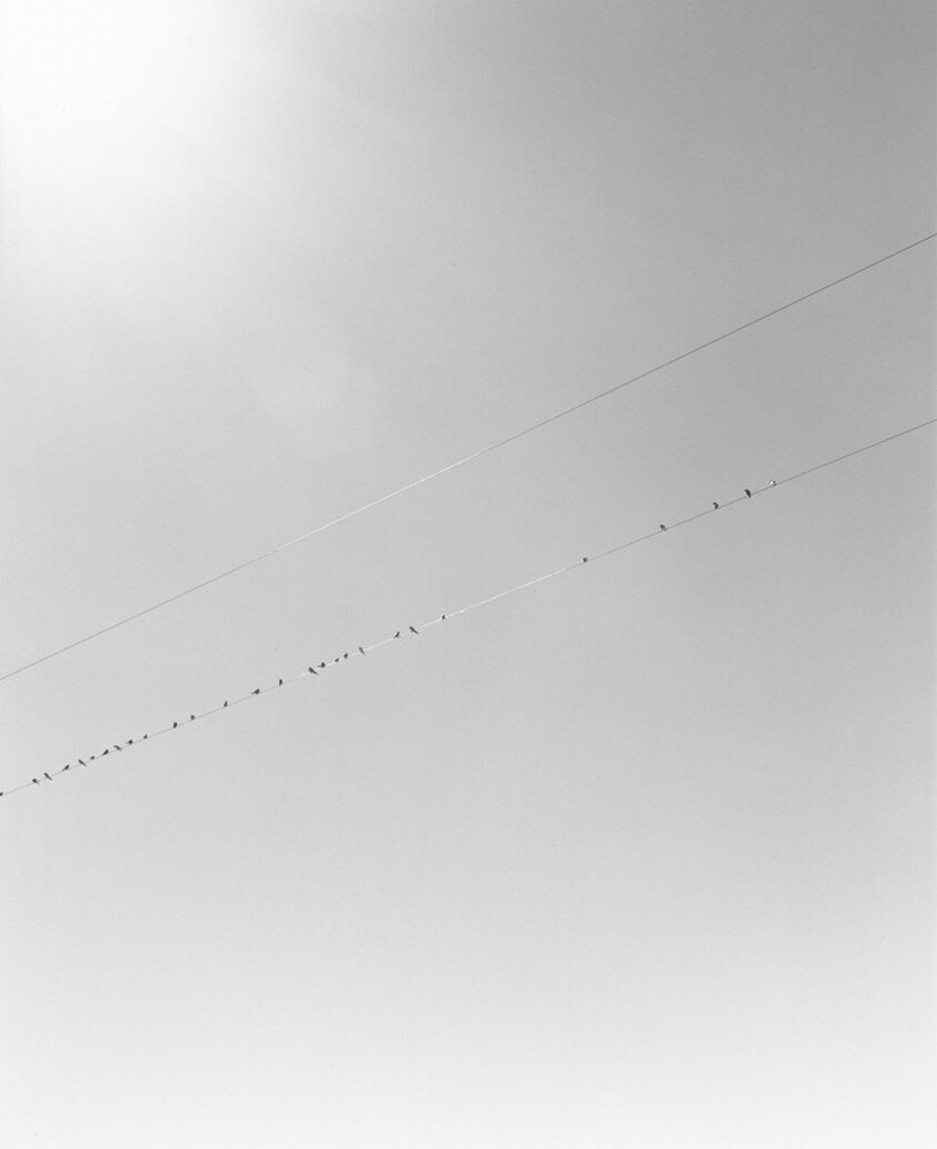 South of Burns, Oregon