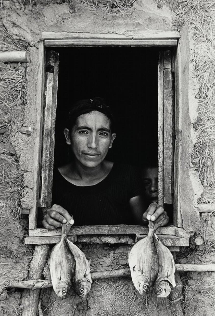 Cuatro pescaditos, Juchitán, México (Four Little Fish, Juchitán, Mexico)