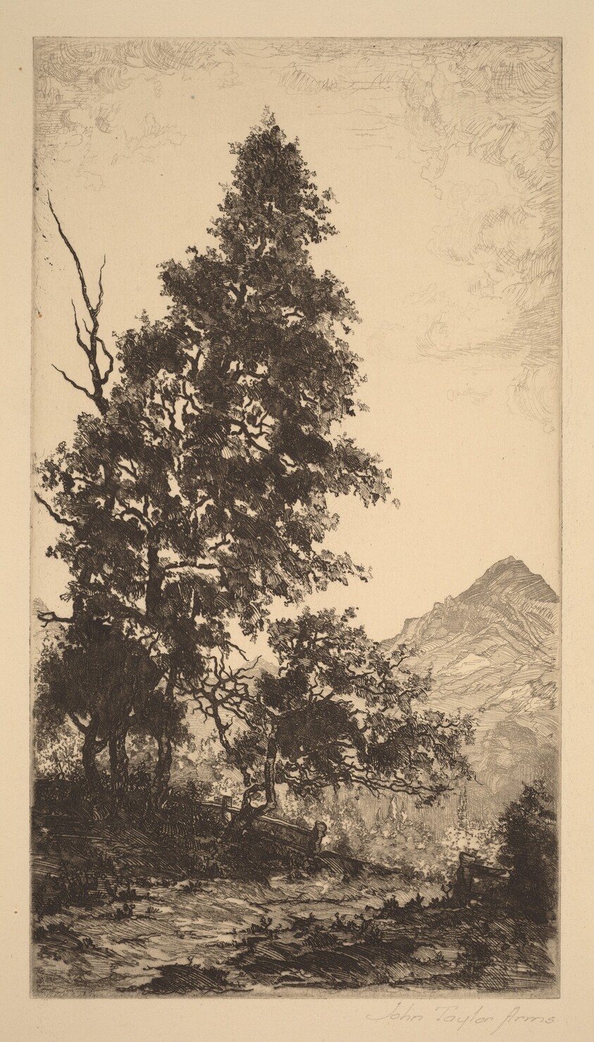 Road to the Pasture, Somewhere in Maine