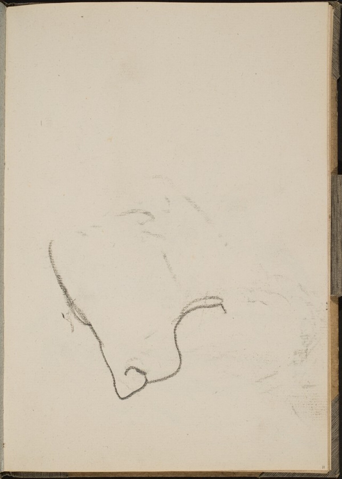 Begonnener Löwenkopf (Sketch of Lion Face) [p. 11]