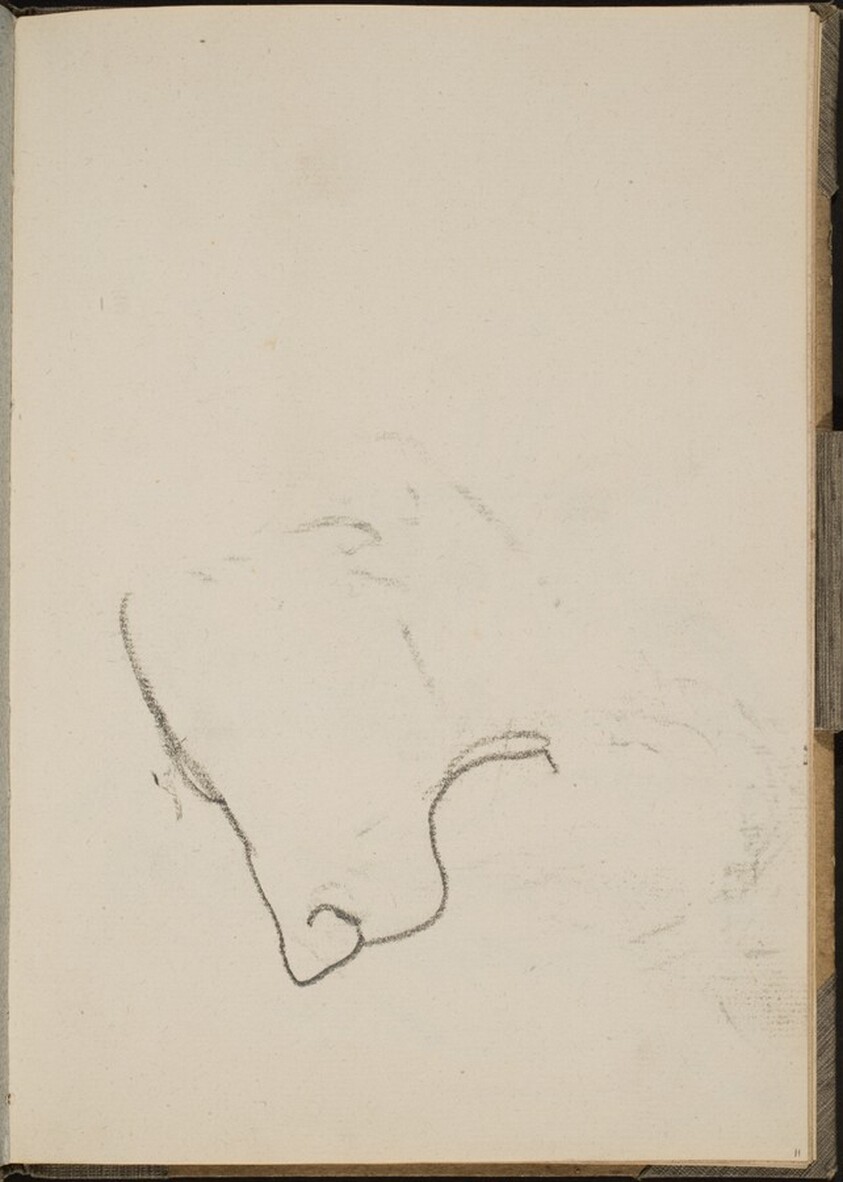 Begonnener Löwenkopf (Sketch of Lion Face) [p. 11]