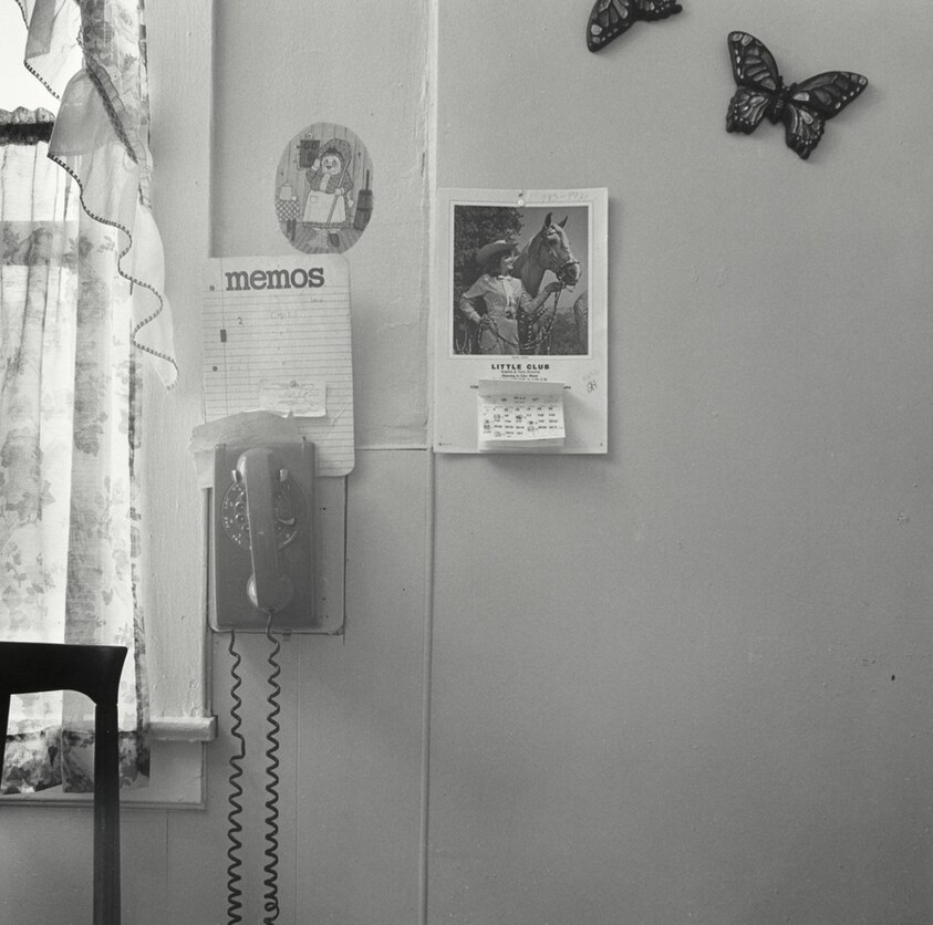 Memo Center with Butterflies