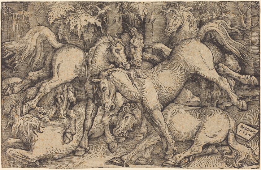 Group of Seven Horses in Woods