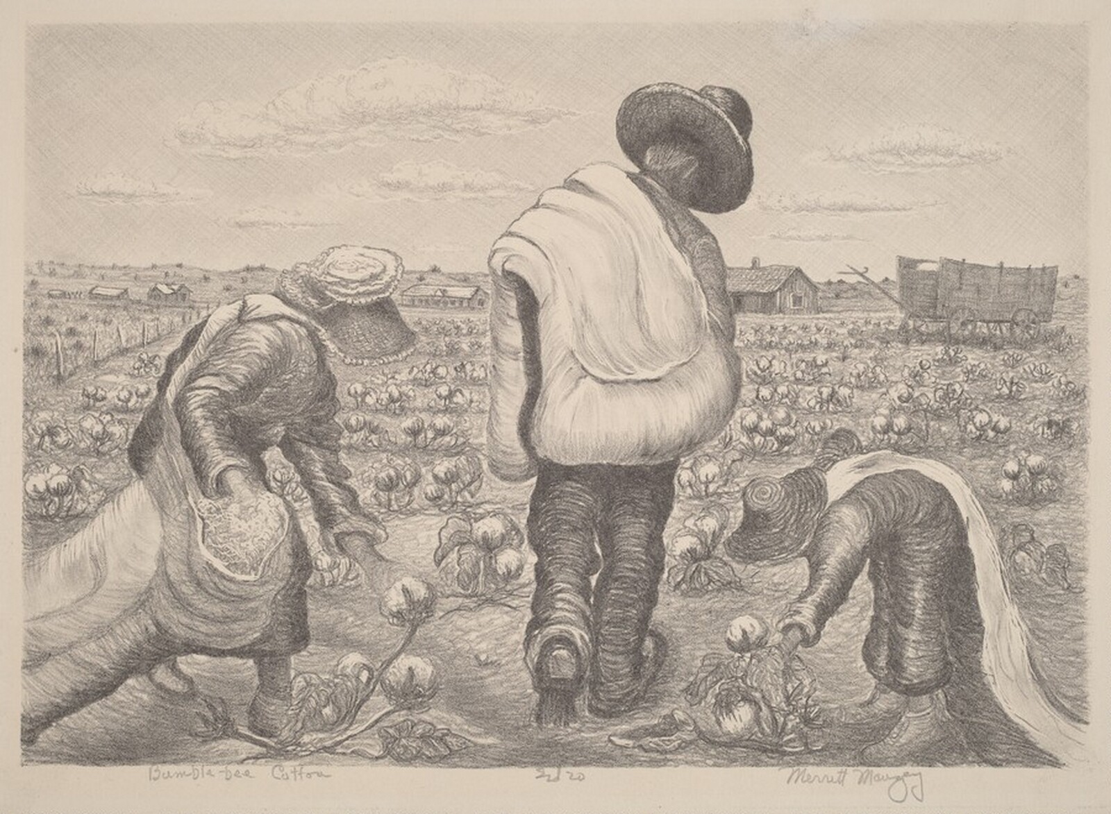 Bumblebee Cotton, Merritt Mauzey, c. 1940s