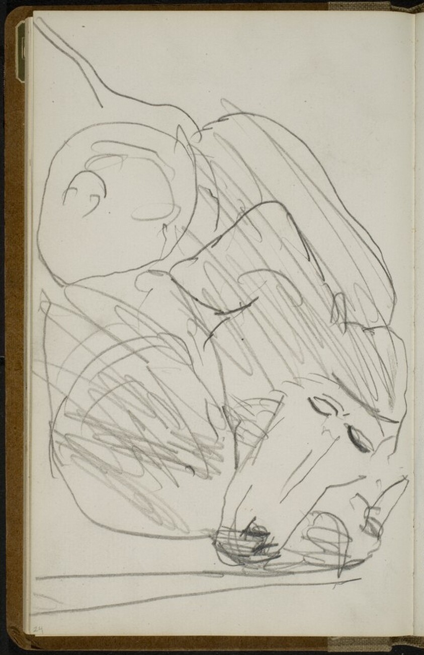 Schlafender Mandrill (Sleeping Mandrill) [p. 24]