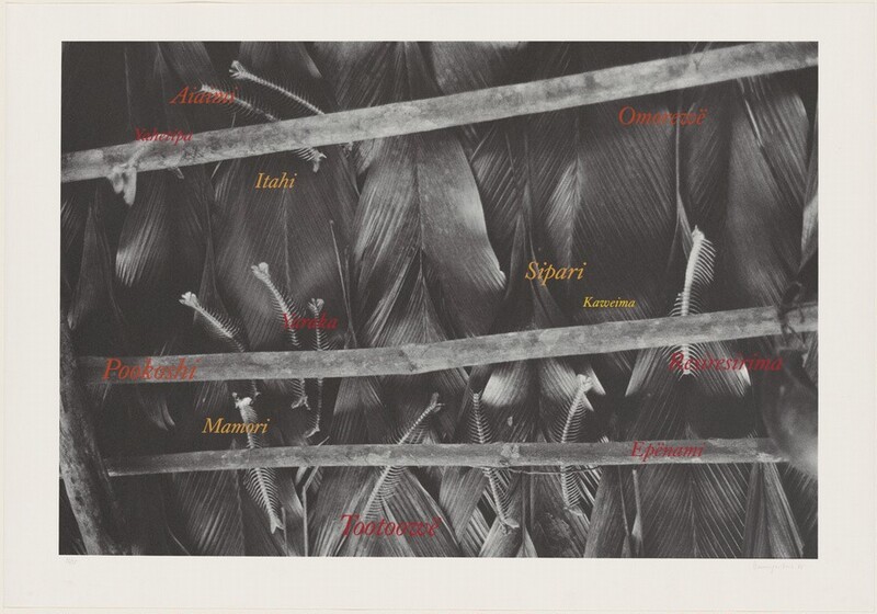 This image shows a collection of feathers arranged intricately within a structure of wooden sticks, with overlaid textual elements. The photo captures dark feathers, likely from a bird, arranged behind horizontal wooden poles creating a grid-like pattern. The feathers exhibit texture and some have spine-like structures. Various words in different colors and orientations are superimposed over the image, written in a stylized script to add visual complexity. The words appear in red and yellow hues, interacting with the feather arrangement.