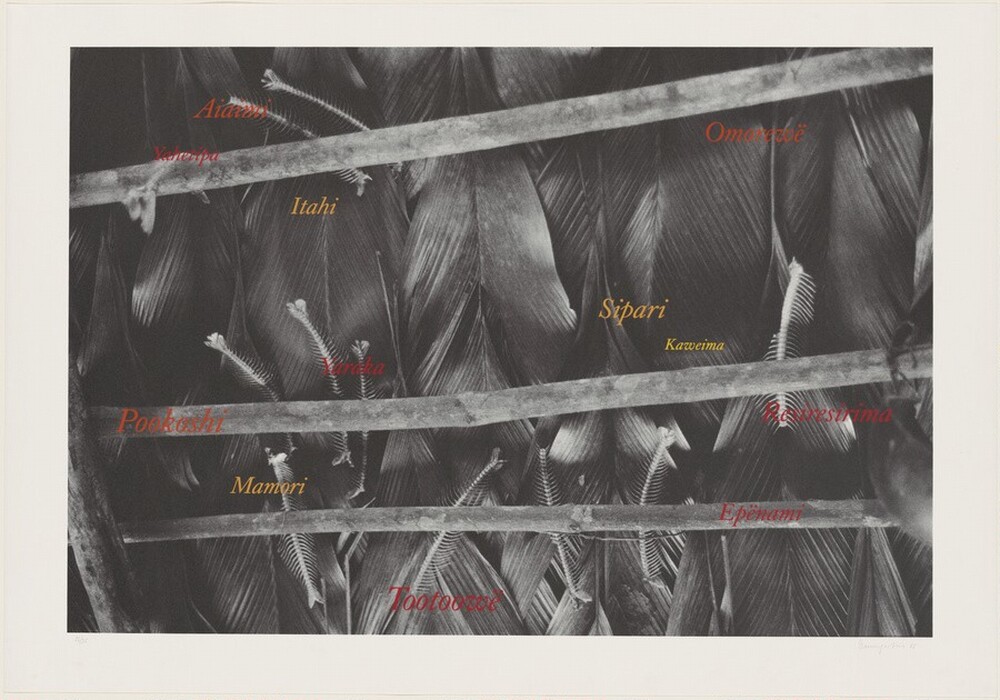 This image shows a collection of feathers arranged intricately within a structure of wooden sticks, with overlaid textual elements. The photo captures dark feathers, likely from a bird, arranged behind horizontal wooden poles creating a grid-like pattern. The feathers exhibit texture and some have spine-like structures. Various words in different colors and orientations are superimposed over the image, written in a stylized script to add visual complexity. The words appear in red and yellow hues, interacting with the feather arrangement.