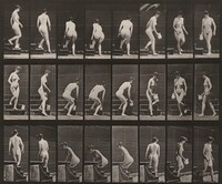 Plate Number 150. Descending stairs, stooping, lifting a pitcher and turning, Eadweard Muybridge, 1887