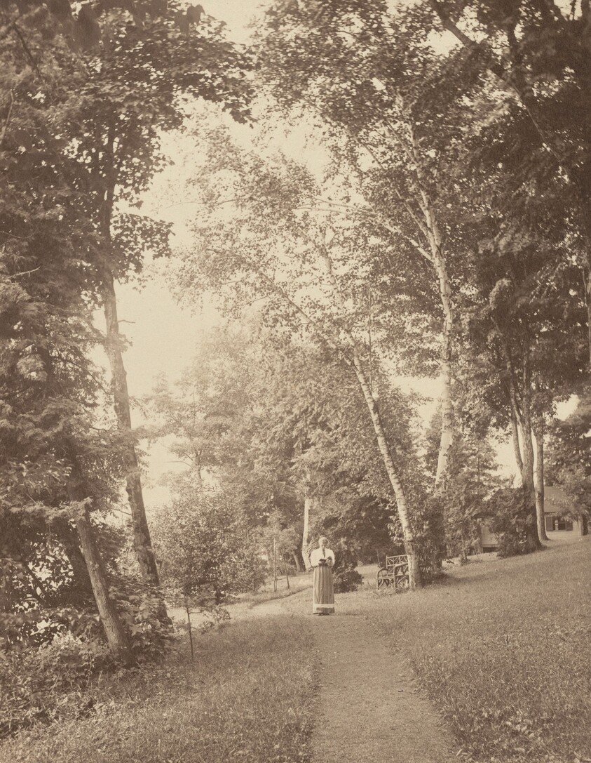 "Hedwigsweg," at Oaklawn