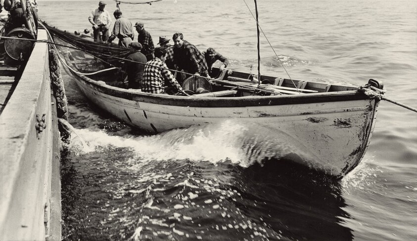 Gloucester fishermen pulling in their nets to bring their catch nearer to the surface so the dip net can transfer them to the big boat. Gloucester, Massachusetts