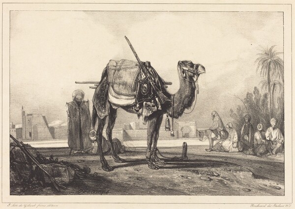 Camel and Arabs