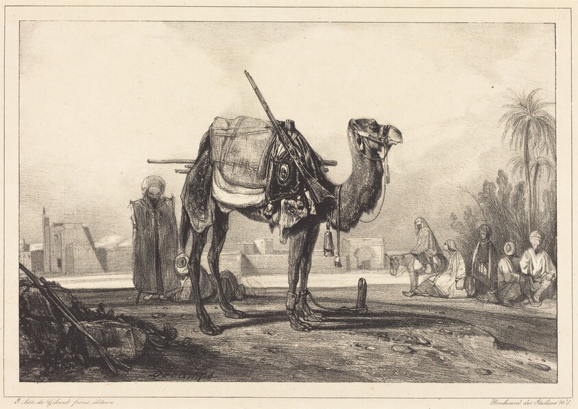 Camel and Arabs