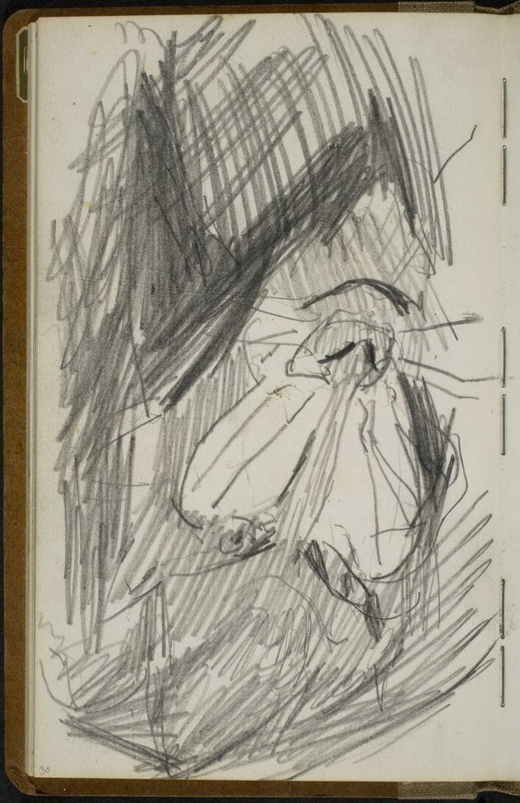 Mandrill [p. 30], Max Beckmann