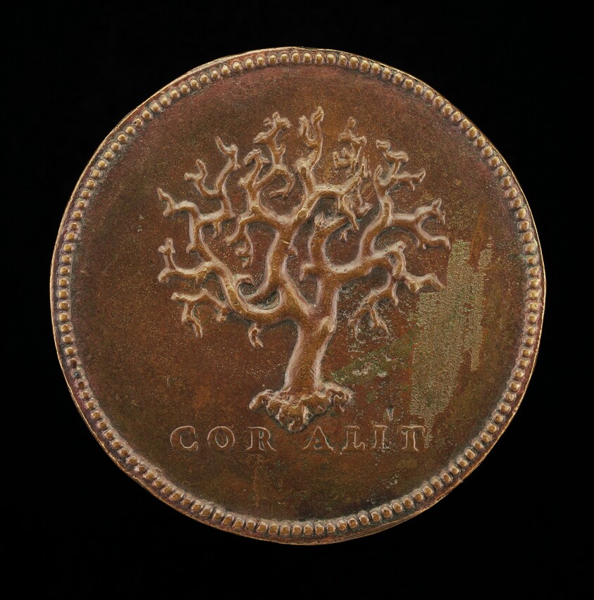 Stalk of Branching Coral [reverse]