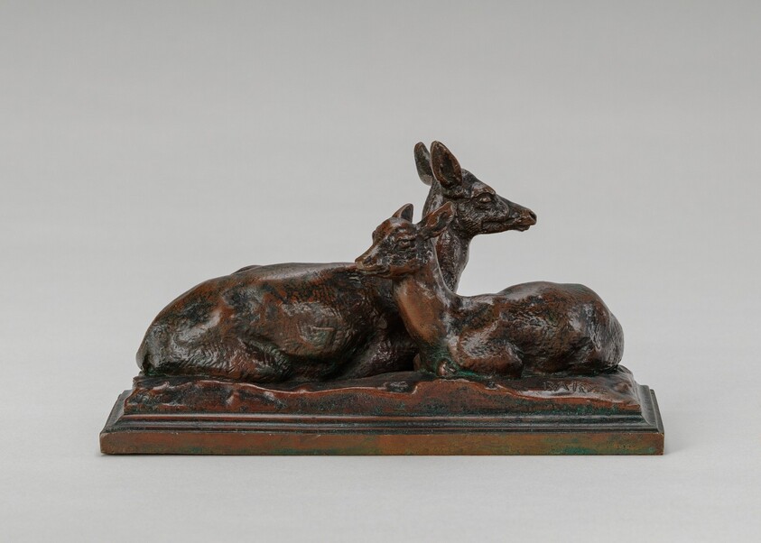 Reclining Doe and Deer