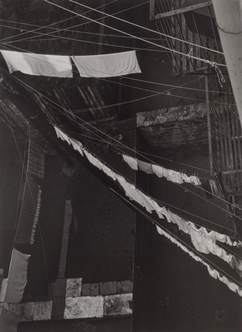 City Light Box Study