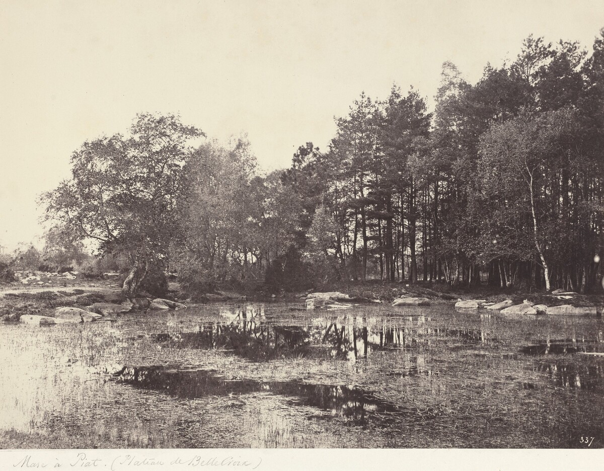 Marsh at Piat (Belle-Croix Plateau)