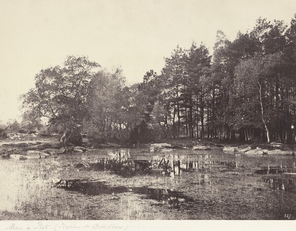 Marsh at Piat (Belle-Croix Plateau)
