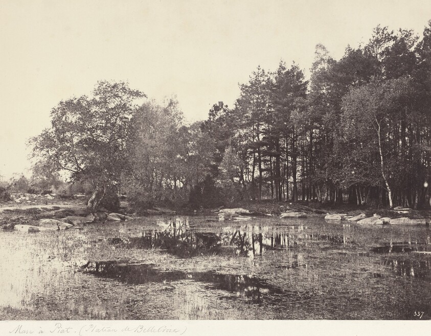 Marsh at Piat (Belle-Croix Plateau)