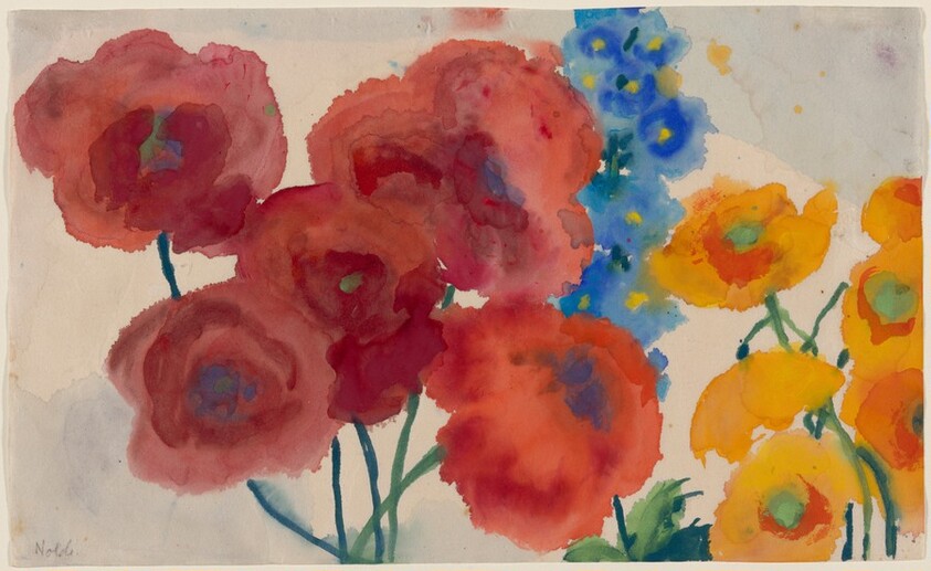 Red and Yellow Poppies with a Blue Delphinium