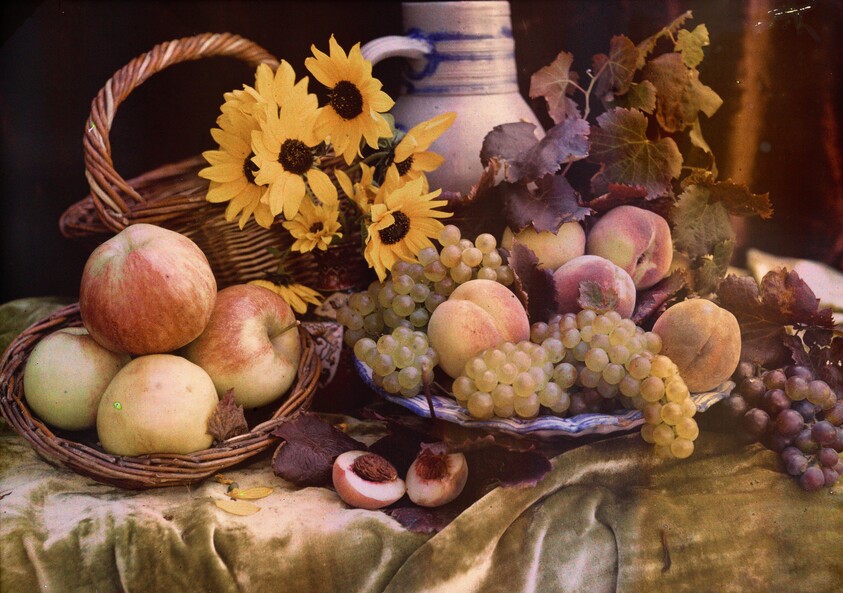 Fruit and Flowers