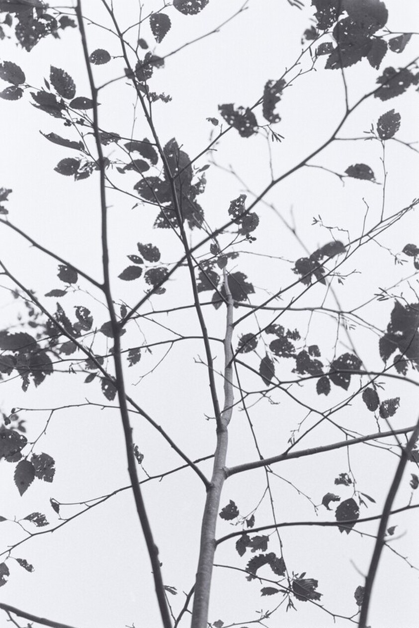 Neahkahnie Mountain, Oregon