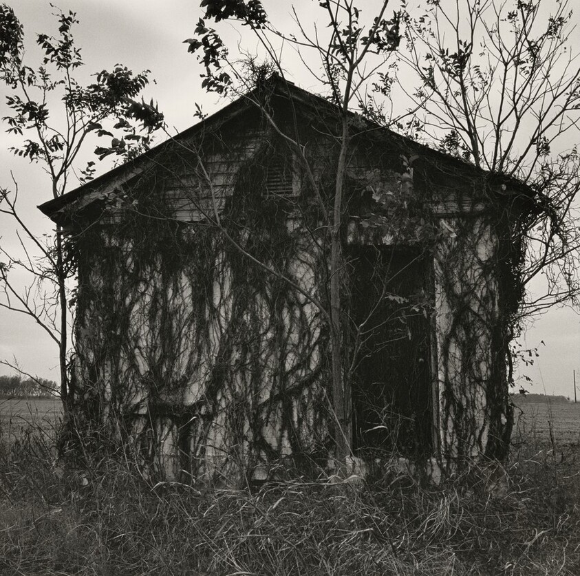 Carretera 61, Mississippi, Estados Unidos (Highway 61, Mississippi, United States)
