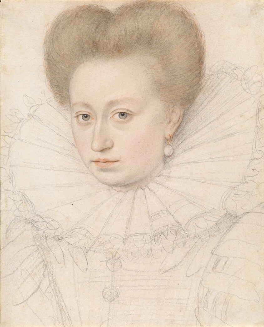 Portrait of a Noblewoman (Madame de Pellegars?)