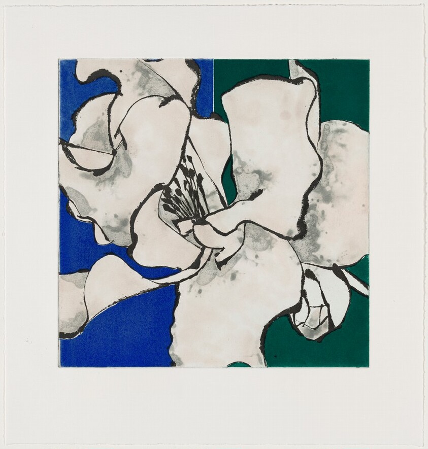 Camellia Pink [working proof 7]