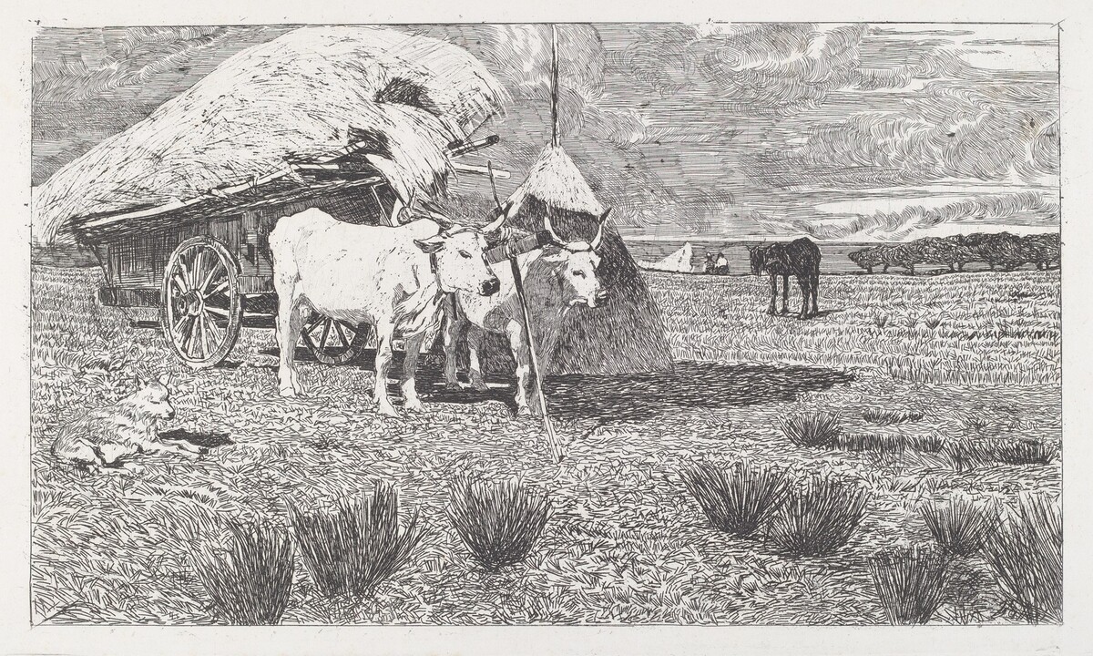 Oxen Yoked to a Cart (Maremma) (Bovi al carro (Maremma))