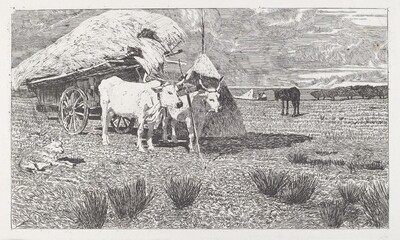 Oxen Yoked to a Cart (Maremma) (Bovi al carro (Maremma))