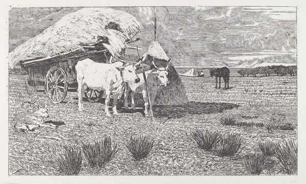Oxen Yoked to a Cart (Maremma) (Bovi al carro (Maremma))