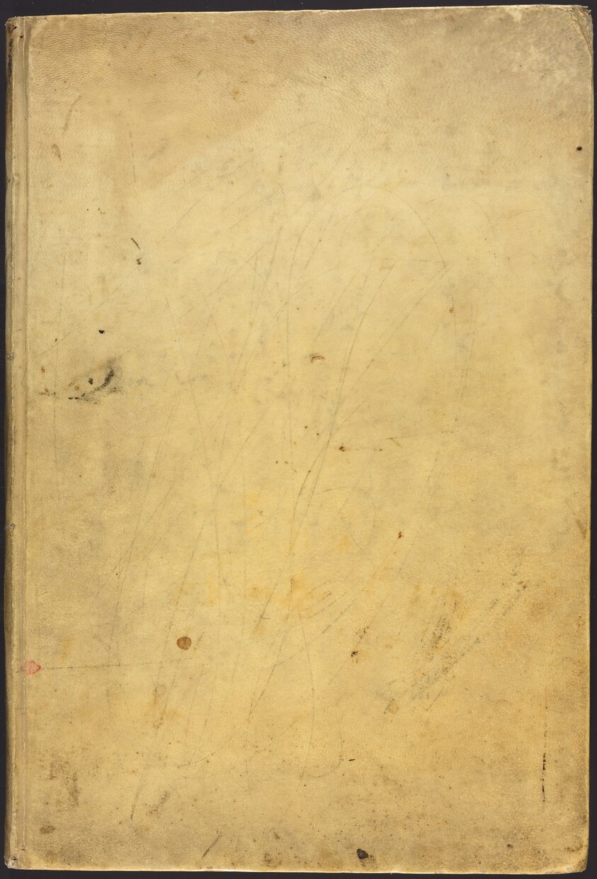 Scuola perfetta per imparare a disegnare tutto il corpo humano cavata dallo studio, e disegni de Caracci novamente data alle stampe