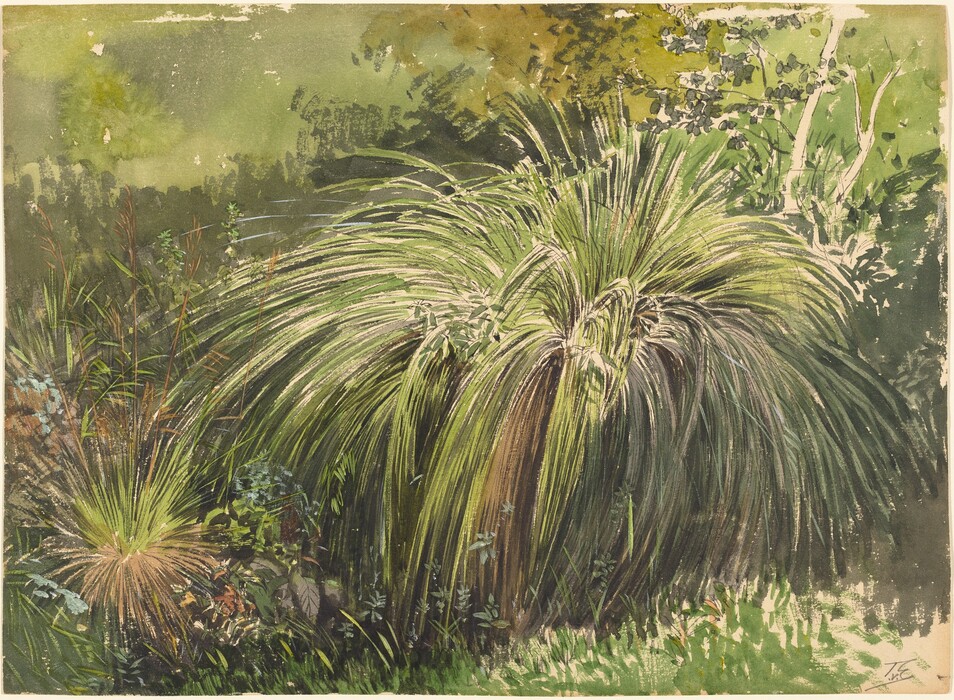 The image features a view of a scene filled with large tufts of grass and greenery. The horizon is not visible, as the view is filled with the detailed depiction of grass in the foreground, leading to dense foliage in the distance. Brushstrokes create movement and texture, especially in the grass, with curves and sweeps depicting the natural flow of plant life. The color palette includes rich greens, varying from dark shadows to vibrant highlights, giving the composition a lively visual appeal.