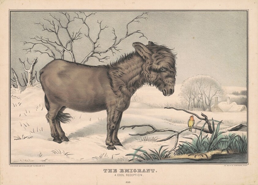 The Emigrant: A Cool Reception