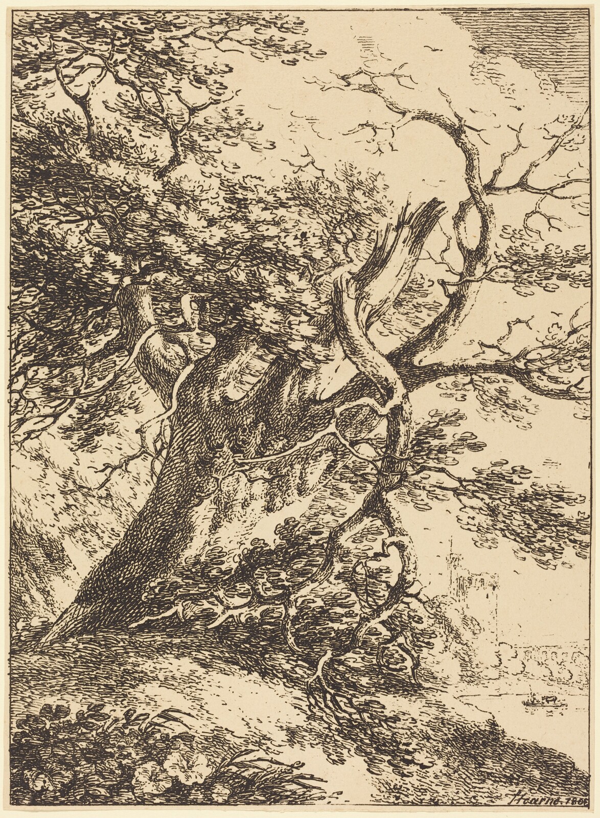Old Tree, Thomas Hearne, 1803