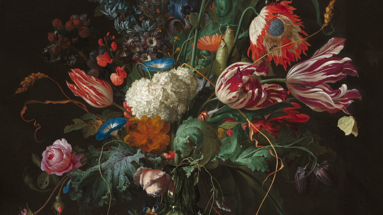 A profusion of flowers in shades of white, orange, blue, and deep pink, with earthy-green leaves, burst from the narrow opening of a glass vase in this vertical still life painting. Shown against a dark brown background, the vase sits on a caramel-brown ledge. The flowers in the center of the arrangement draw the eye. On our right two tulips are streaked with cream white and dark pink. A flower above it, perhaps an anemone, has white ruffled petals with flame-red tips around a denim-blue center. A small snail in a rust-orange shell rests on a curling green leaf nearby. On our left is a partly opened tulip with scarlet-red streaks next to an ivory-white hydrangea with clusters of tiny petals. Trumpet-shaped, sea-blue morning glories and an amber-orange bloom surround the white hydrangea. The top third of the arrangement has a tall, white peony with feathery petals at the center. Queen Anne’s lace nestles alongside small blooms in muted purples and blues, sage-green peapods, and a carrot-orange flower that resembles a daisy. A slender stalk of wheat extends off the right side while another bends to meet the ledge. The lower third of the arrangement is filled with pink roses, more green pea pods, two closed, plum-purple flowers, and another feathery peony, this one crimson red, which droops to meet the ledge near the bottom right corner of the painting. A few blackberries lie on the ledge nearby. Leaves in various sizes and shades of green fill in among the blooms. More insects and creatures are scattered throughout the composition. For example, a caterpillar clings to the underside of the white peony at the top while a brown and black butterfly flies toward it. A bee sits on the white and red anemone, and a snail, salamander, and spider gather on the ledge to the left of the vase. Stems and the water line are visible within the glass vase, which swells from a narrow opening into a wide base. Panes of a window off to our left reflects in the belly of the vase. The artist signed the front face of the ledge near the lower left: “J.D. De Heem f.”