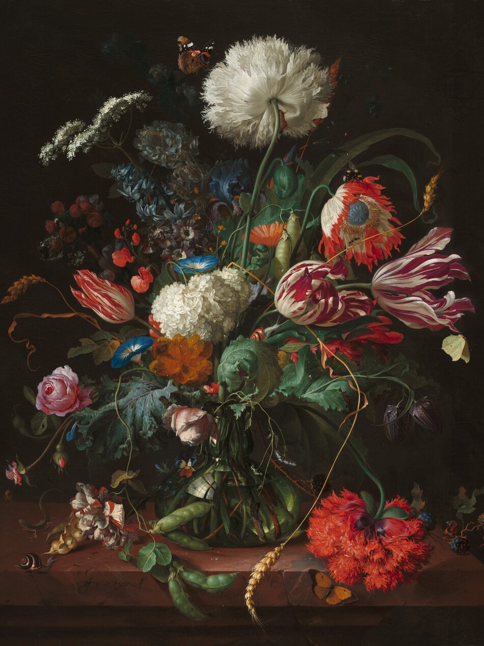 A profusion of flowers in shades of white, orange, blue, and deep pink, with earthy-green leaves, burst from the narrow opening of a glass vase in this vertical still life painting. Shown against a dark brown background, the vase sits on a caramel-brown ledge. The flowers in the center of the arrangement draw the eye. On our right two tulips are streaked with cream white and dark pink. A flower above it, perhaps an anemone, has white ruffled petals with flame-red tips around a denim-blue center. A small snail in a rust-orange shell rests on a curling green leaf nearby. On our left is a partly opened tulip with scarlet-red streaks next to an ivory-white hydrangea with clusters of tiny petals. Trumpet-shaped, sea-blue morning glories and an amber-orange bloom surround the white hydrangea. The top third of the arrangement has a tall, white peony with feathery petals at the center. Queen Anne’s lace nestles alongside small blooms in muted purples and blues, sage-green peapods, and a carrot-orange flower that resembles a daisy. A slender stalk of wheat extends off the right side while another bends to meet the ledge. The lower third of the arrangement is filled with pink roses, more green pea pods, two closed, plum-purple flowers, and another feathery peony, this one crimson red, which droops to meet the ledge near the bottom right corner of the painting. A few blackberries lie on the ledge nearby. Leaves in various sizes and shades of green fill in among the blooms. More insects and creatures are scattered throughout the composition. For example, a caterpillar clings to the underside of the white peony at the top while a brown and black butterfly flies toward it. A bee sits on the white and red anemone, and a snail, salamander, and spider gather on the ledge to the left of the vase. Stems and the water line are visible within the glass vase, which swells from a narrow opening into a wide base. Panes of a window off to our left reflects in the belly of the vase. The artist signed the front face of the ledge near the lower left: “J.D. De Heem f.”