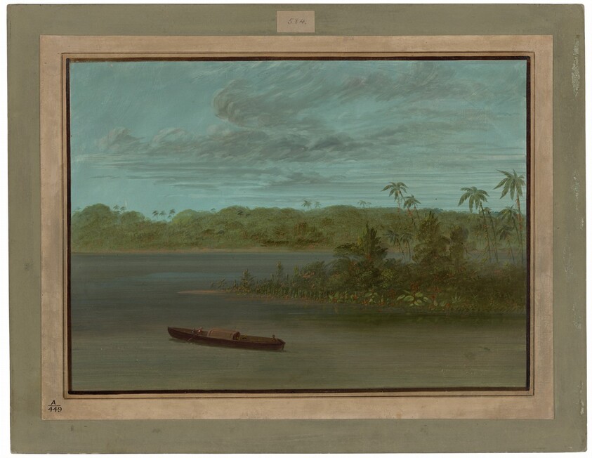 Mouth of the Rio Purus