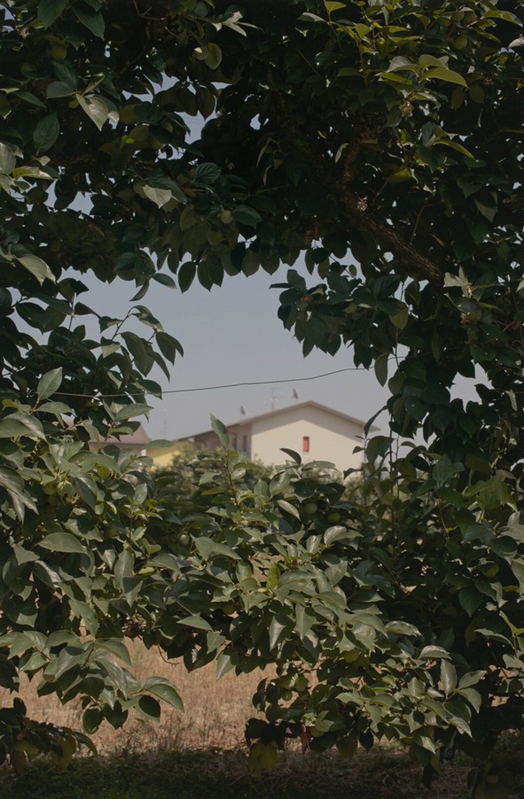 Untitled, John Gossage, 2009-2011