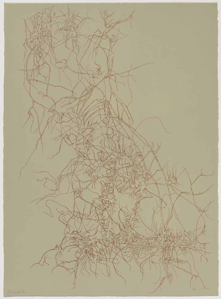 Winter Vine from Of Nature, Of Man