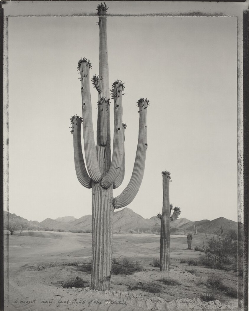 Longest Day: Last Light of the Solstice, Carefree, Arizona, June 21