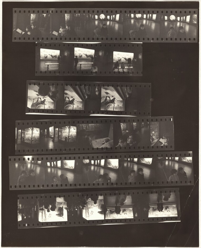 Museum of Natural History no number