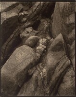 Rock, Paul Strand, 1927