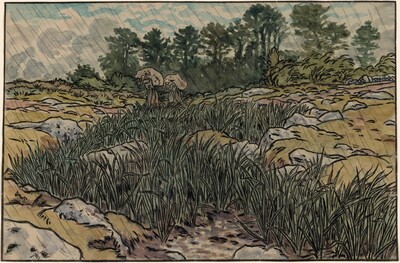 Stream in Lopérec (Ruisseau à Lopérec)