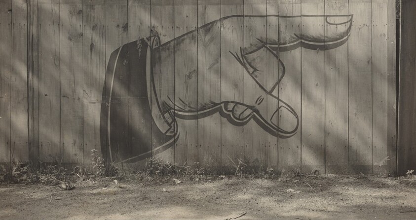 Painted Sign on Fence, Cedar Point, Ohio