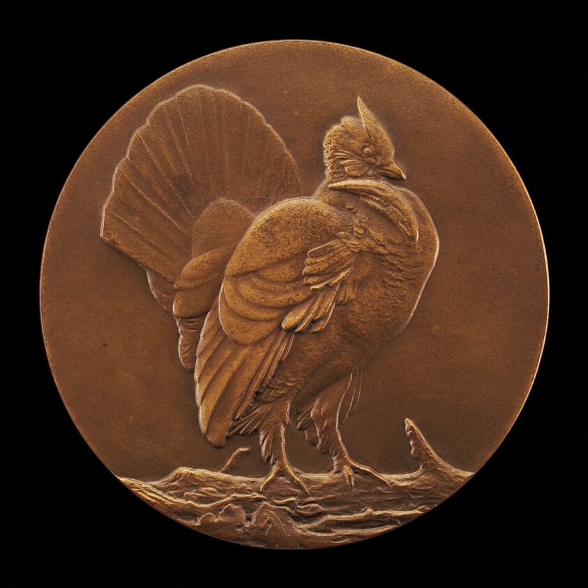 Ruffed Grouse [reverse]