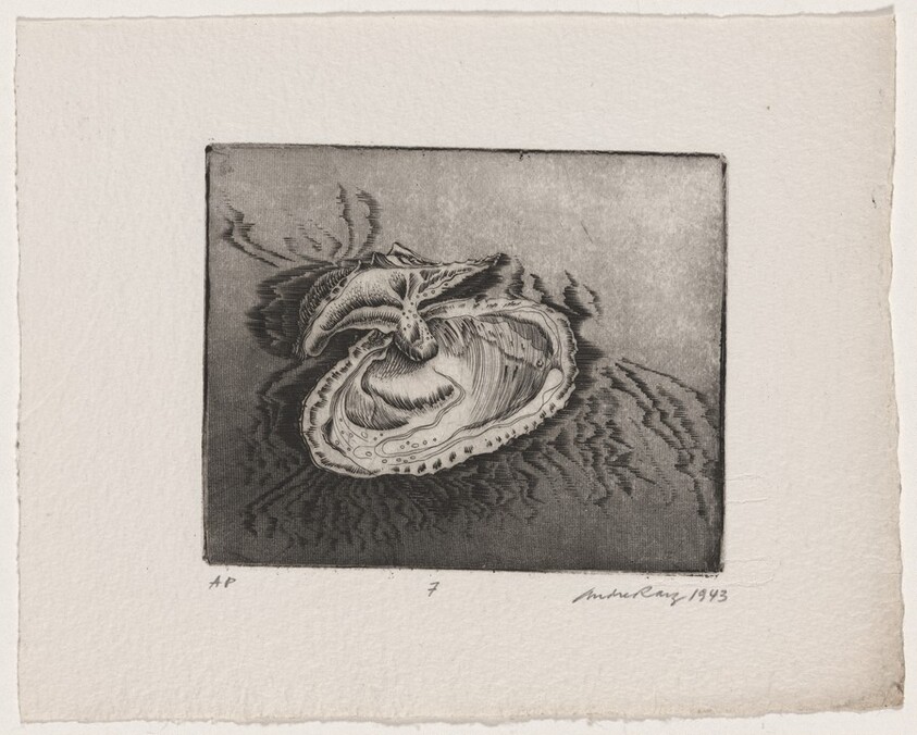 Untitled (Clam Shell)