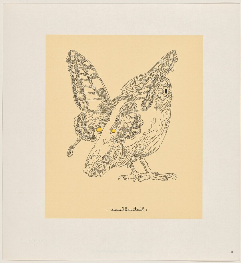 Owl Feathers: page 11